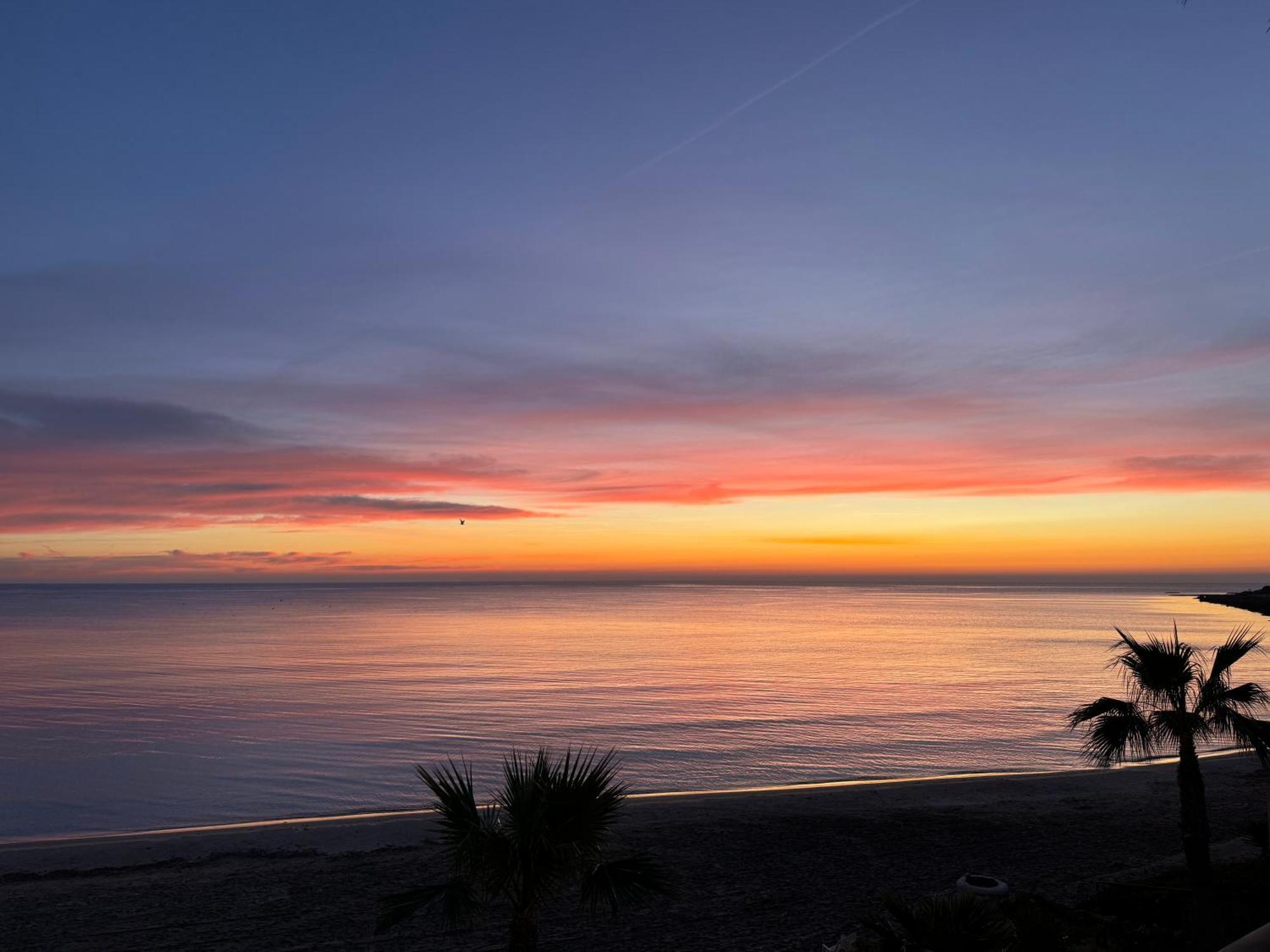 Excepcional Apartamento Loft A Pie De Playa En Chalet Roquetes Alicante Exterior photo